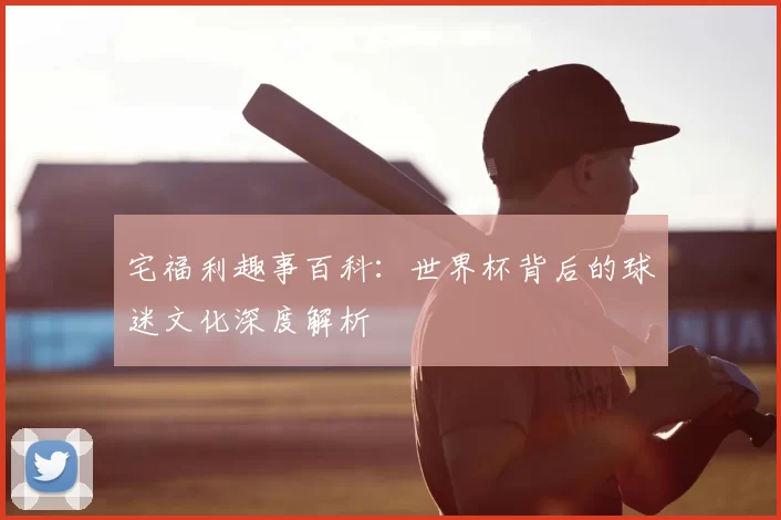 宅福利趣事百科：世界杯背后的球迷文化深度解析