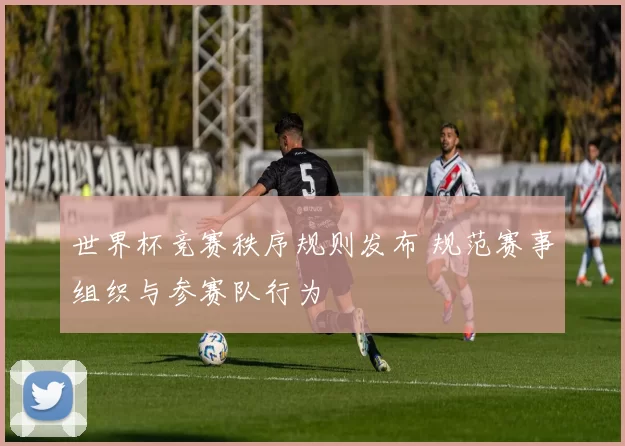 世界杯竞赛秩序规则发布 规范赛事组织与参赛队行为