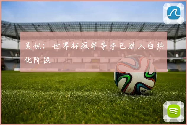 吴优：世界杯冠军争夺已进入白热化阶段