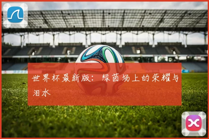 世界杯最新版：绿茵场上的荣耀与泪水