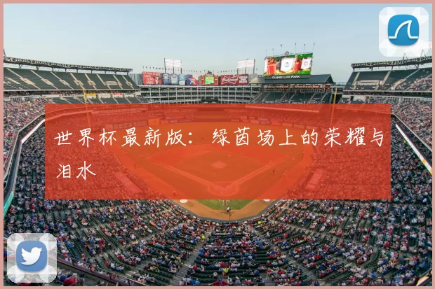 世界杯最新版：绿茵场上的荣耀与泪水