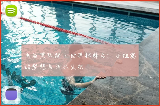 当波黑队踏上世界杯舞台：小组赛的梦想与泪水交织