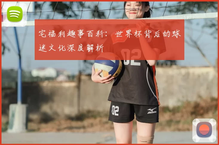 宅福利趣事百科:世界杯背后的球迷文化深度解析