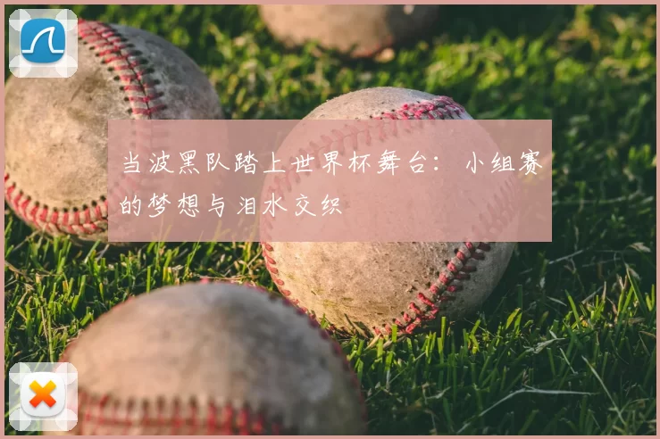 当波黑队踏上世界杯舞台:小组赛的梦想与泪水交织