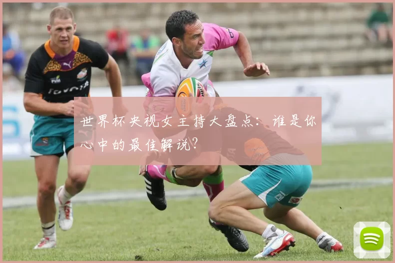 世界杯央视女主持大盘点：谁是你心中的最佳解说？