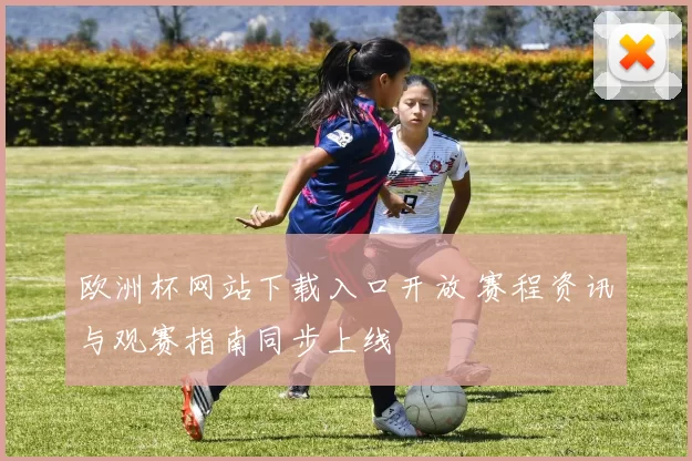 欧洲杯网站下载入口开放 赛程资讯与观赛指南同步上线