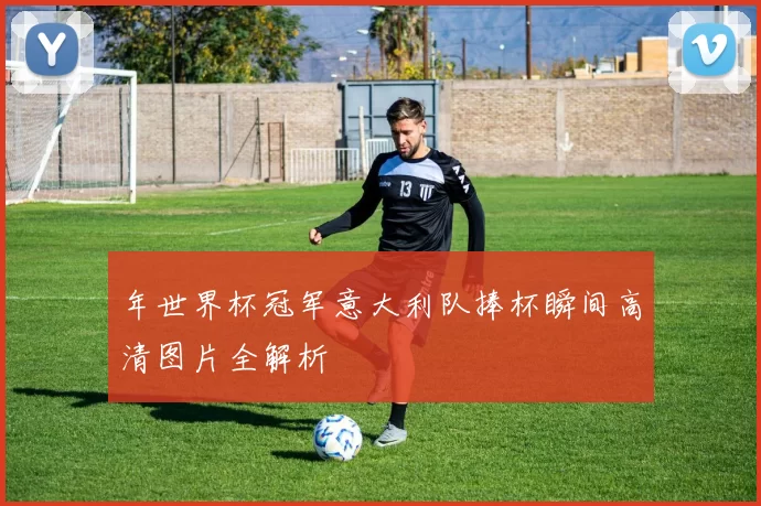 年世界杯冠军意大利队捧杯瞬间高清图片全解析