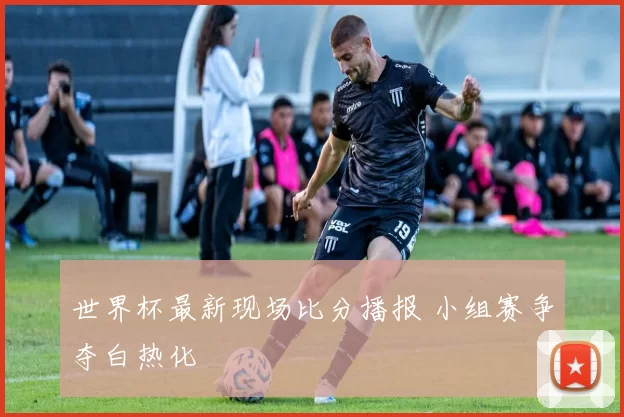 世界杯最新现场比分播报 小组赛争夺白热化