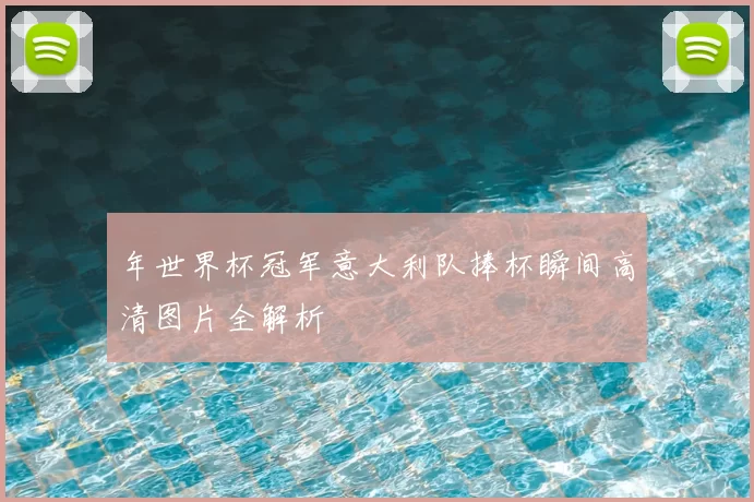 年世界杯冠军意大利队捧杯瞬间高清图片全解析