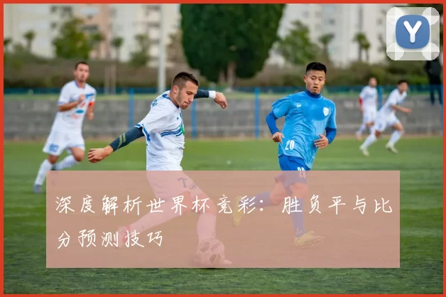 深度解析世界杯竞彩:胜负平与比分预测技巧